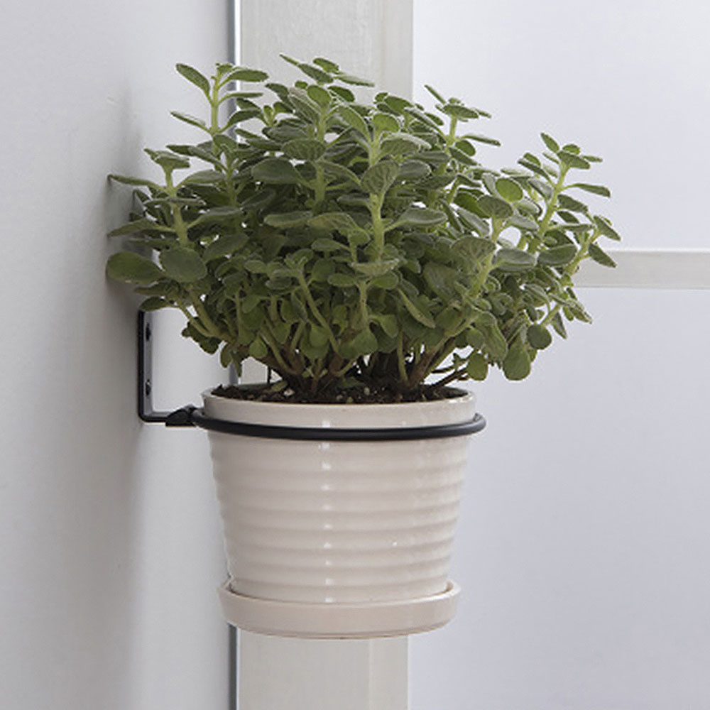 Flower Pot Trays Wall Mounted  - đánh giá và giá Flower Wall Panel